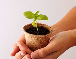 Semi di Pace e di Speranza: custodire il Creato come dono di Dio