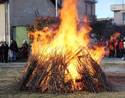 Festa di Sant'Antonio abate